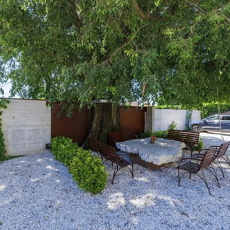 Nino-5 By Interhome Apartment *